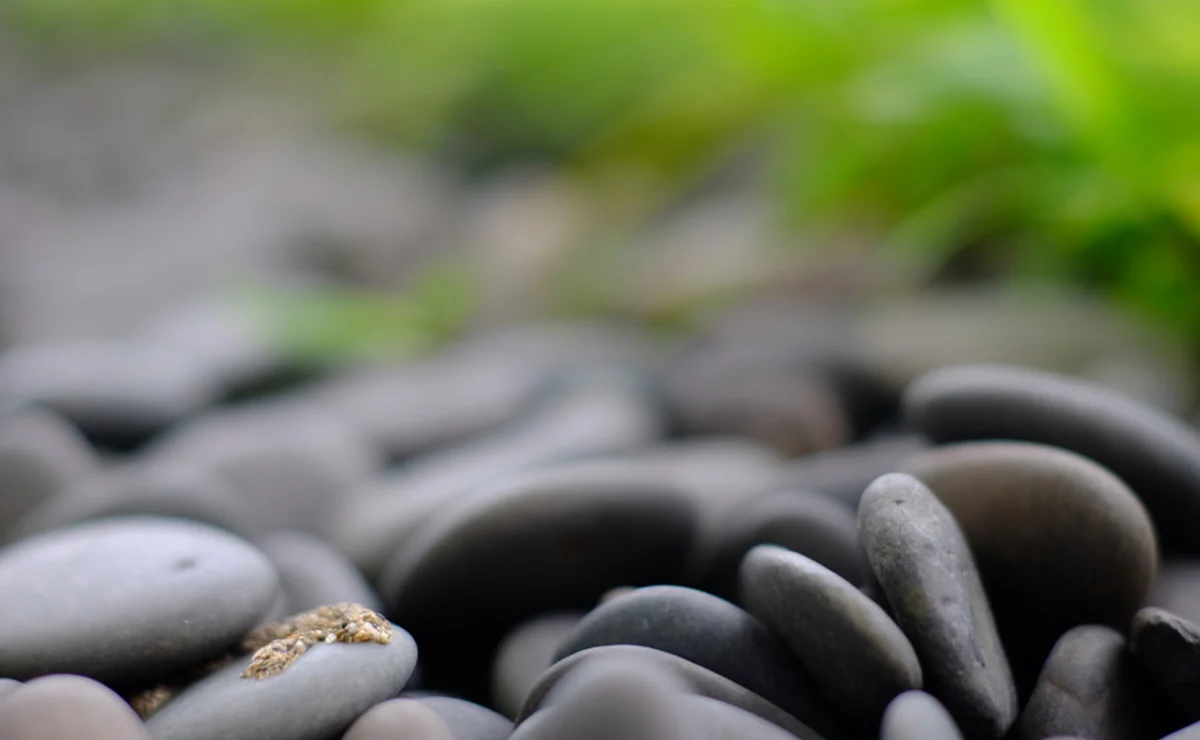 Dans nos vies trépidantes, vivre dans l'instant présent est devenu un véritable défi. L'agitation constante, les sollicitations numériques et notre tendance naturelle à vagabonder entre passé et futur nous éloignent du moment présent. Pourtant, une pratique simple et accessible nous offre une ancre précieuse : la pleine conscience.